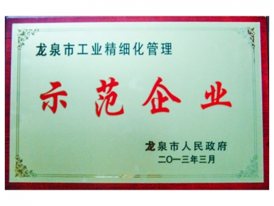 龍泉市工業(yè)精細化管理示范企業(yè)